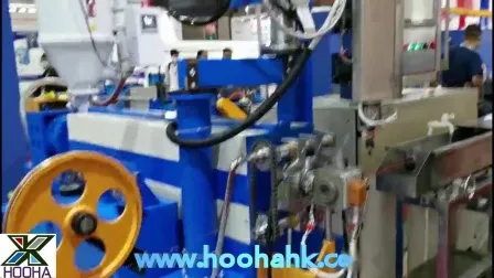 Building Wire Extrusion Making Machine for BV, BVV, Bvr, RV Wire 